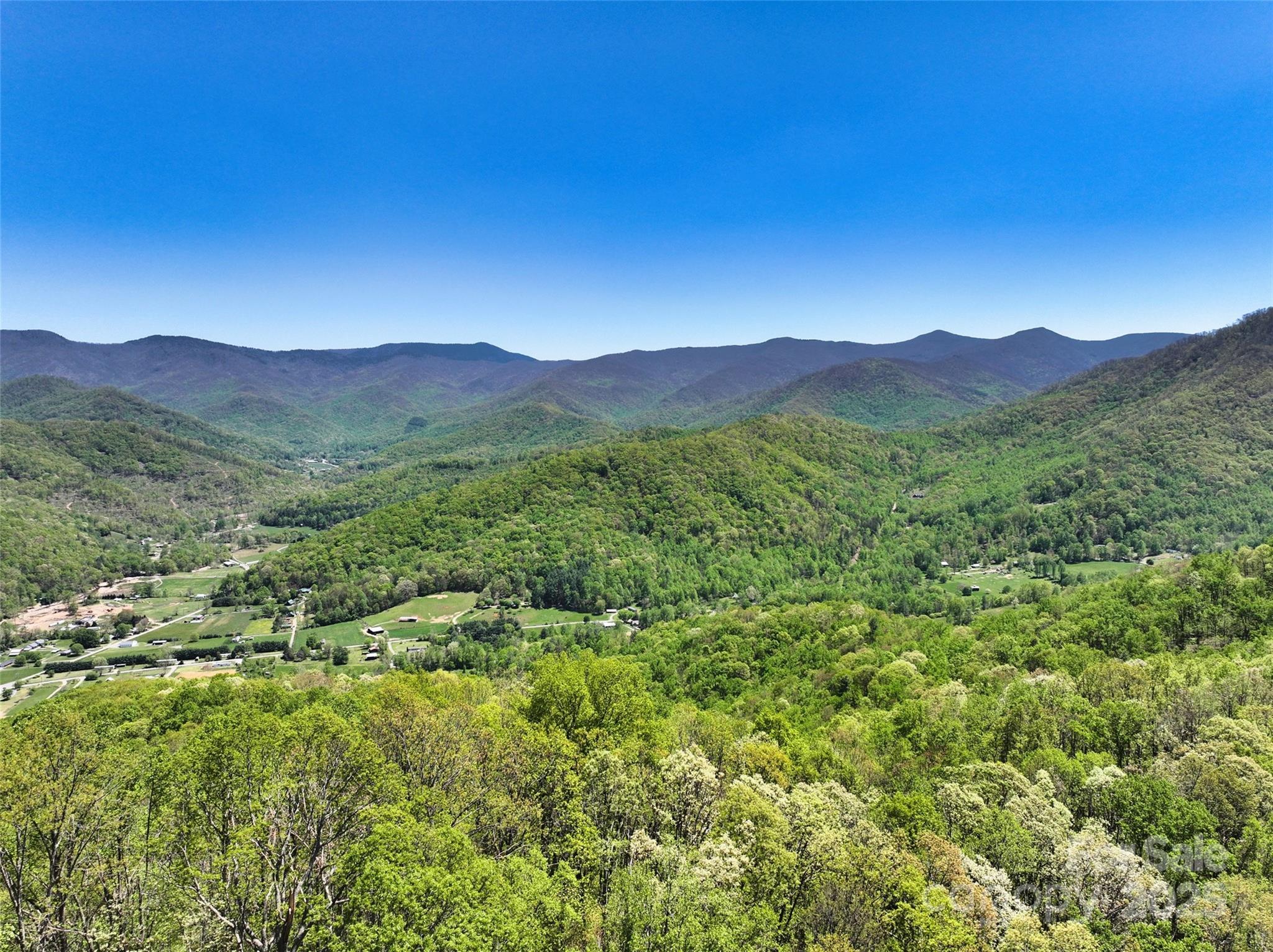 99999 Anderson Cove Road Barnardsville NC 28709
