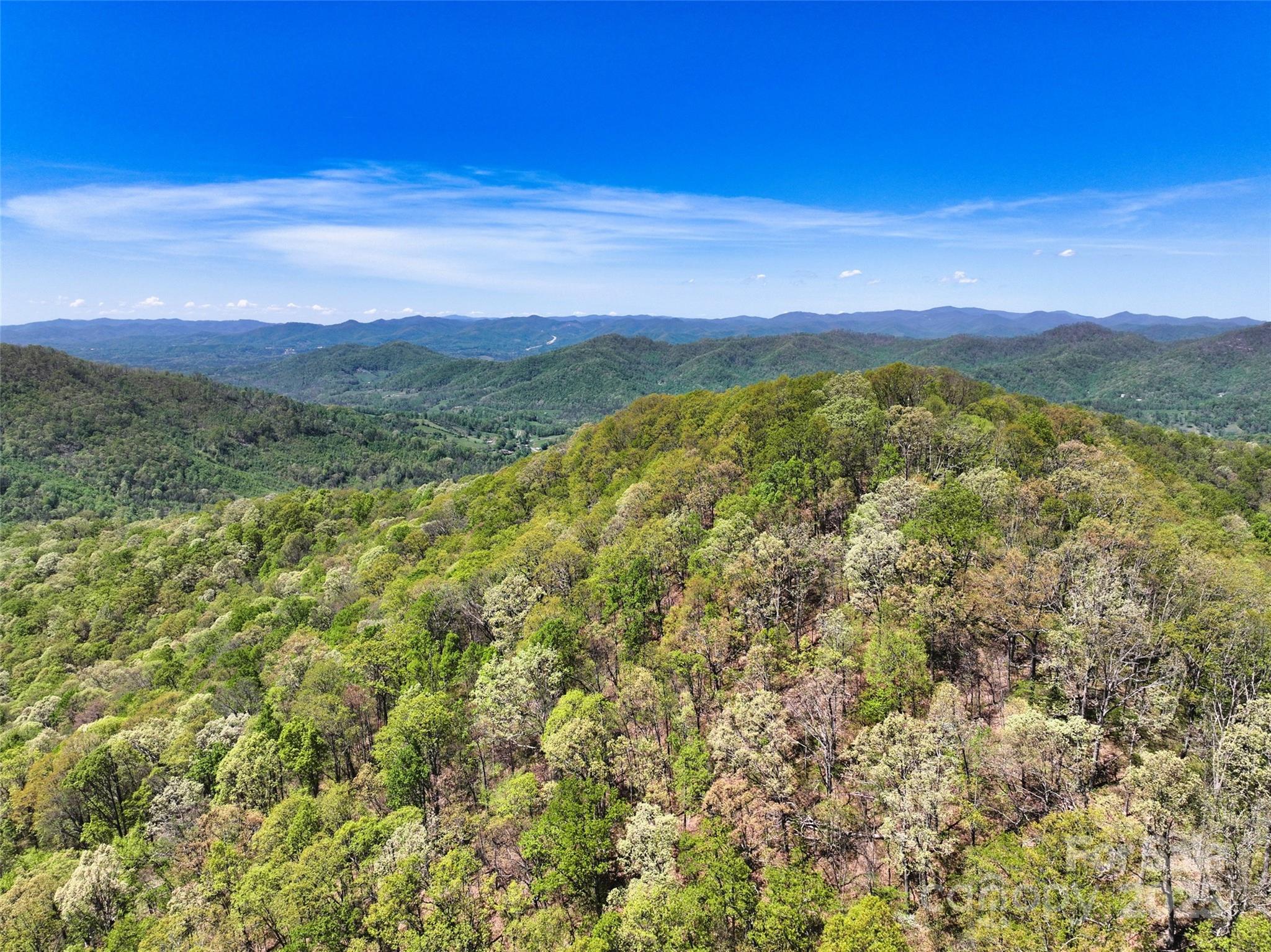 99999 Anderson Cove Road Barnardsville NC 28709