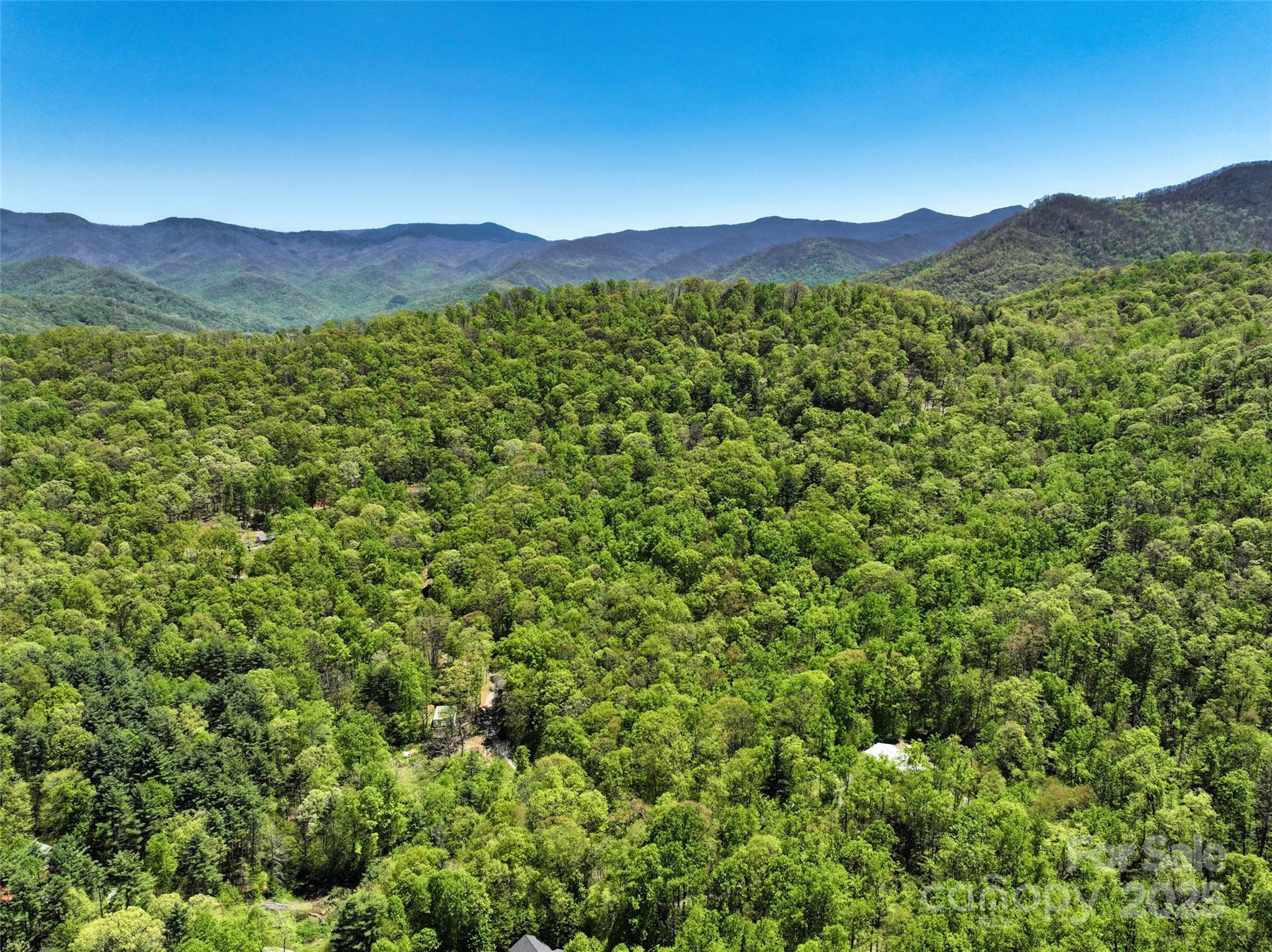 99999 Anderson Cove Road Barnardsville NC 28709