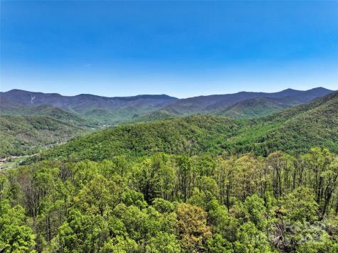 99999 Anderson Cove Road Barnardsville NC 28709