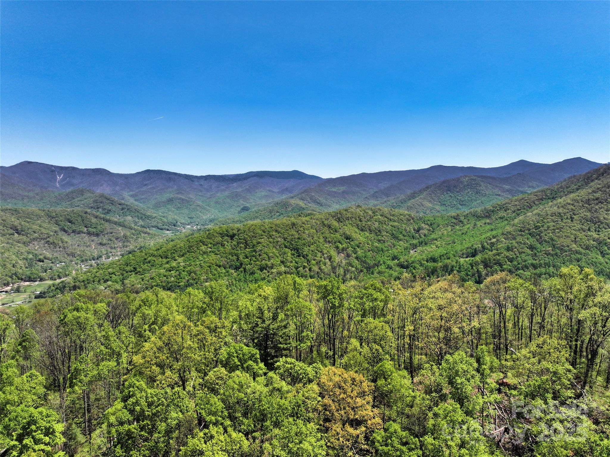 99999 Anderson Cove Road Barnardsville NC 28709