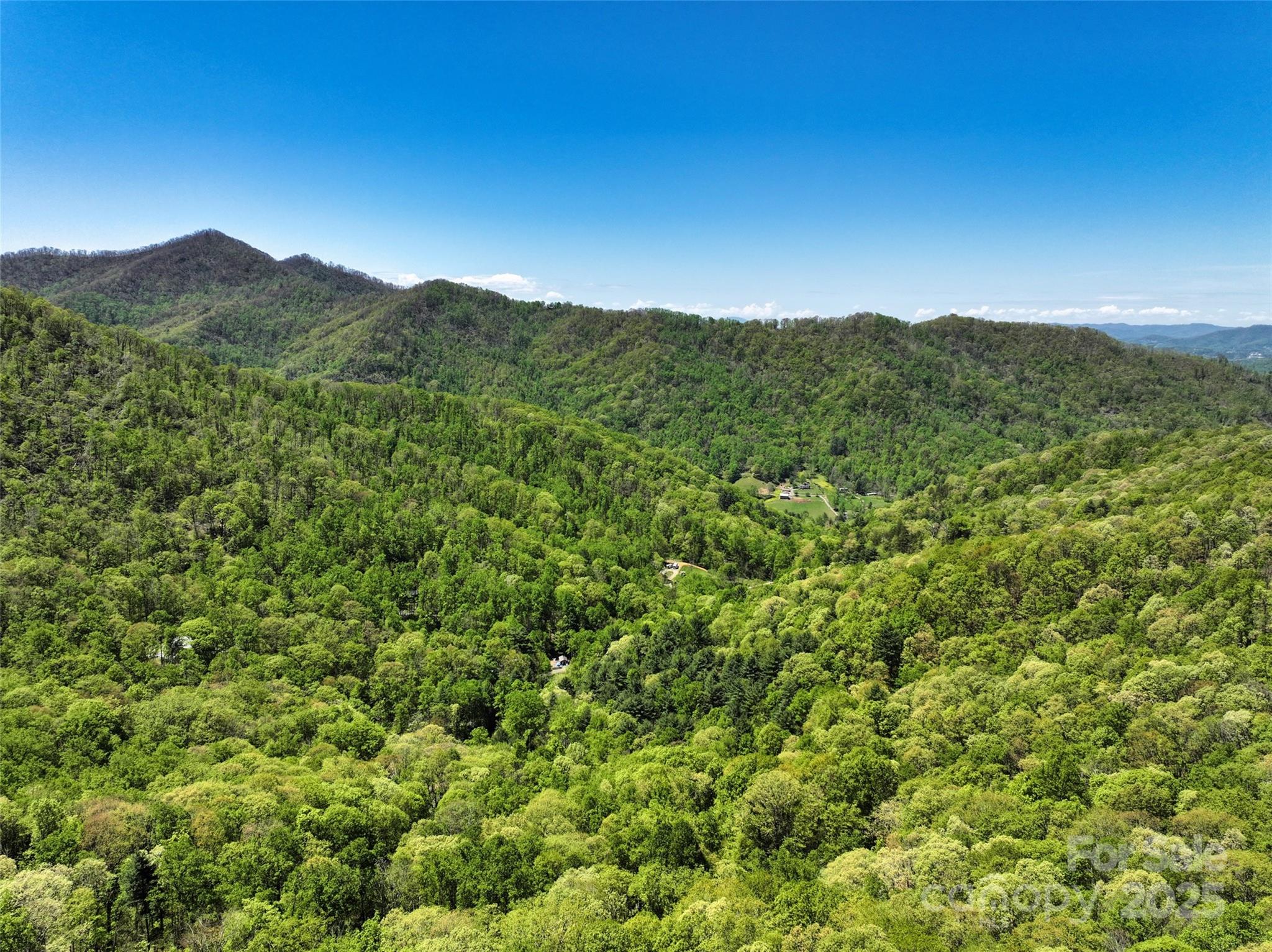 99999 Anderson Cove Road Barnardsville NC 28709