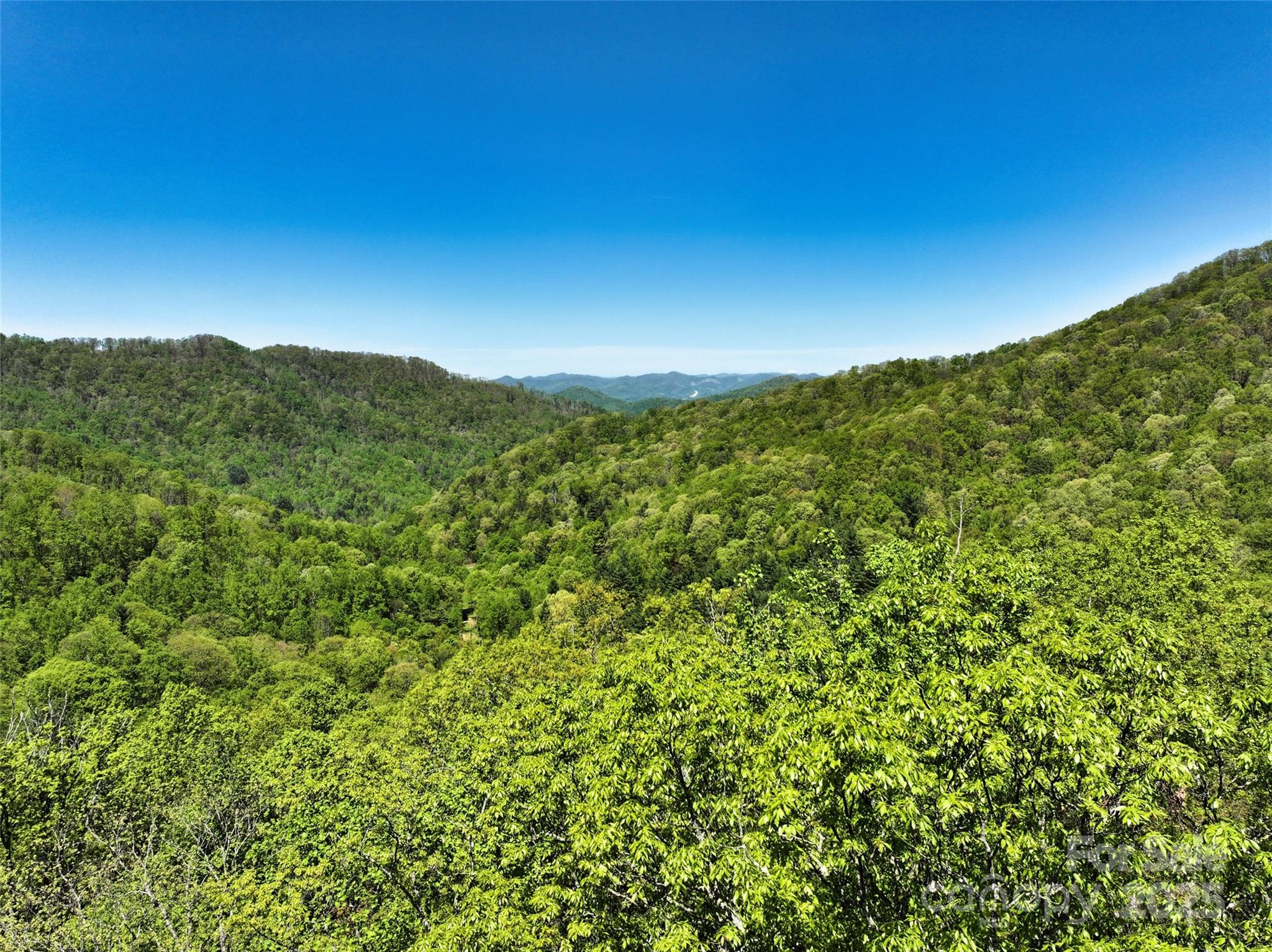 99999 Anderson Cove Road Barnardsville NC 28709
