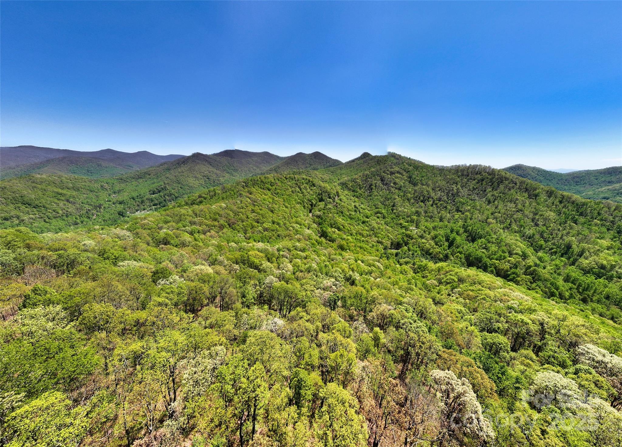 99999 Anderson Cove Road Barnardsville NC 28709