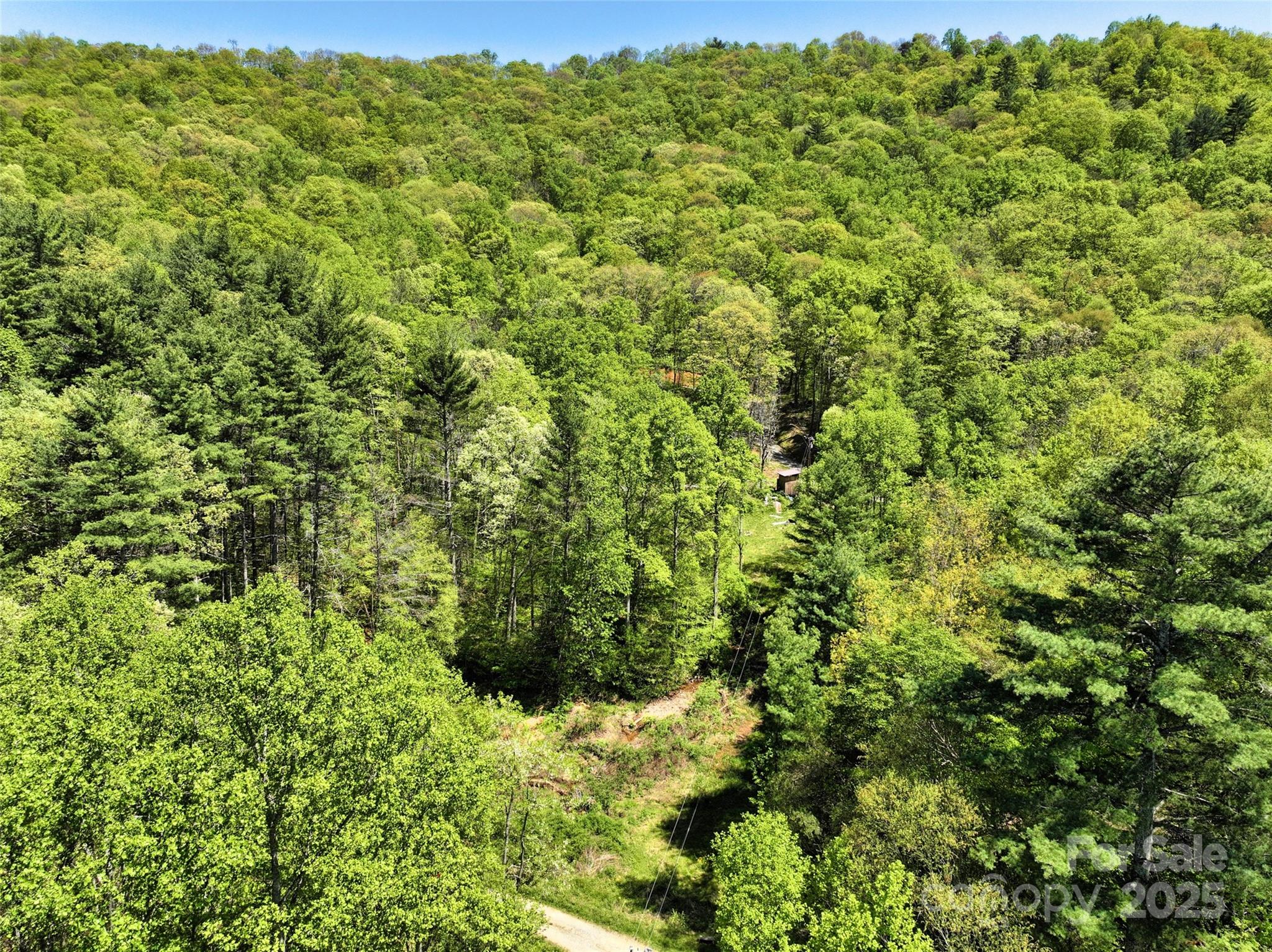 99999 Anderson Cove Road Barnardsville NC 28709