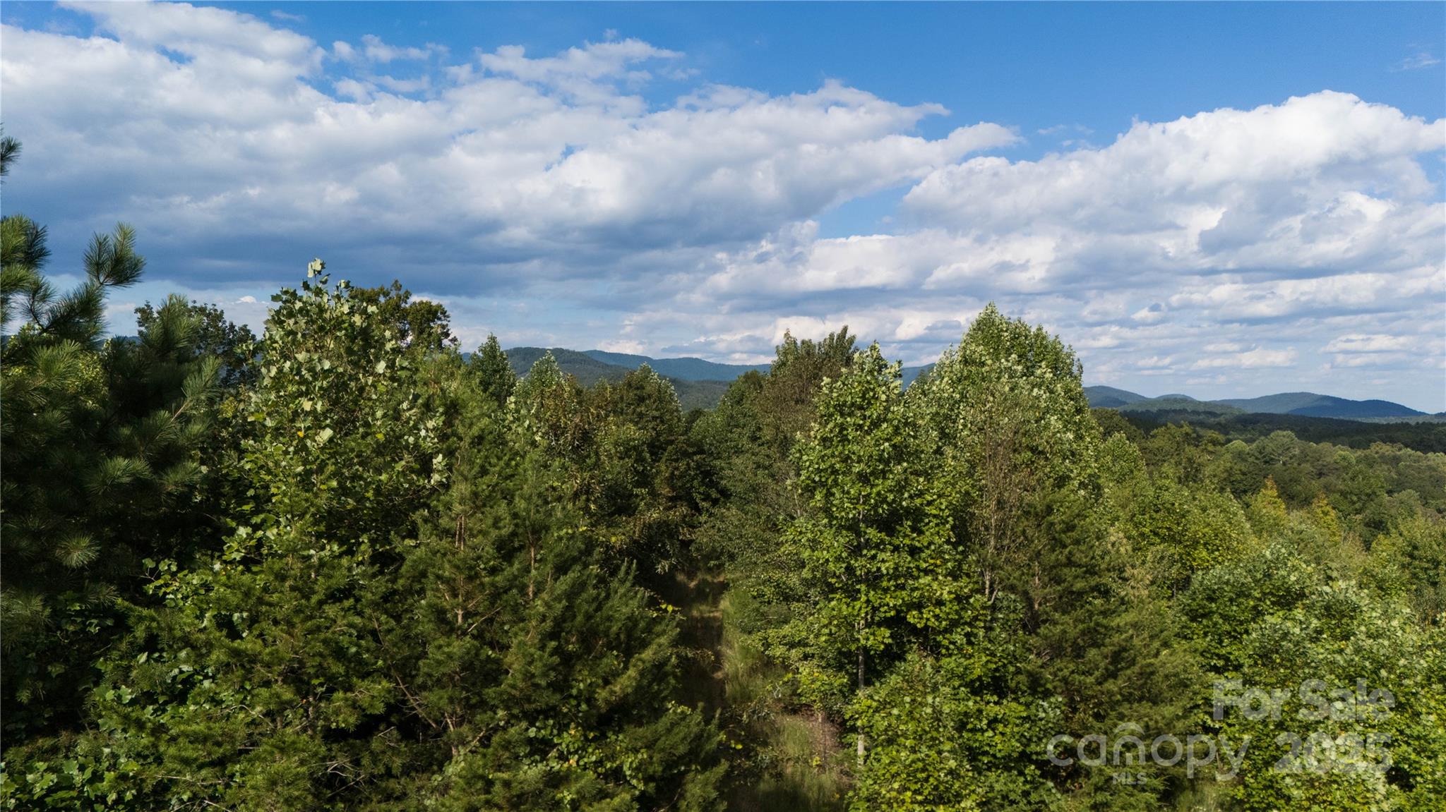 Lot 1 Aurora Ridge Bostic NC 28018