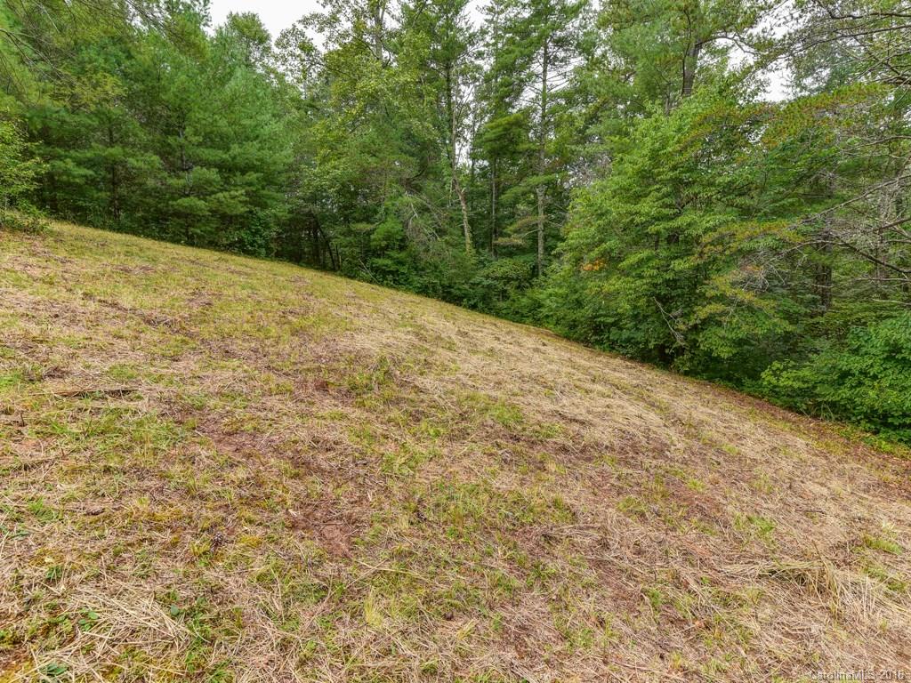 72 Al Faye Farm Way Weaverville NC 28787