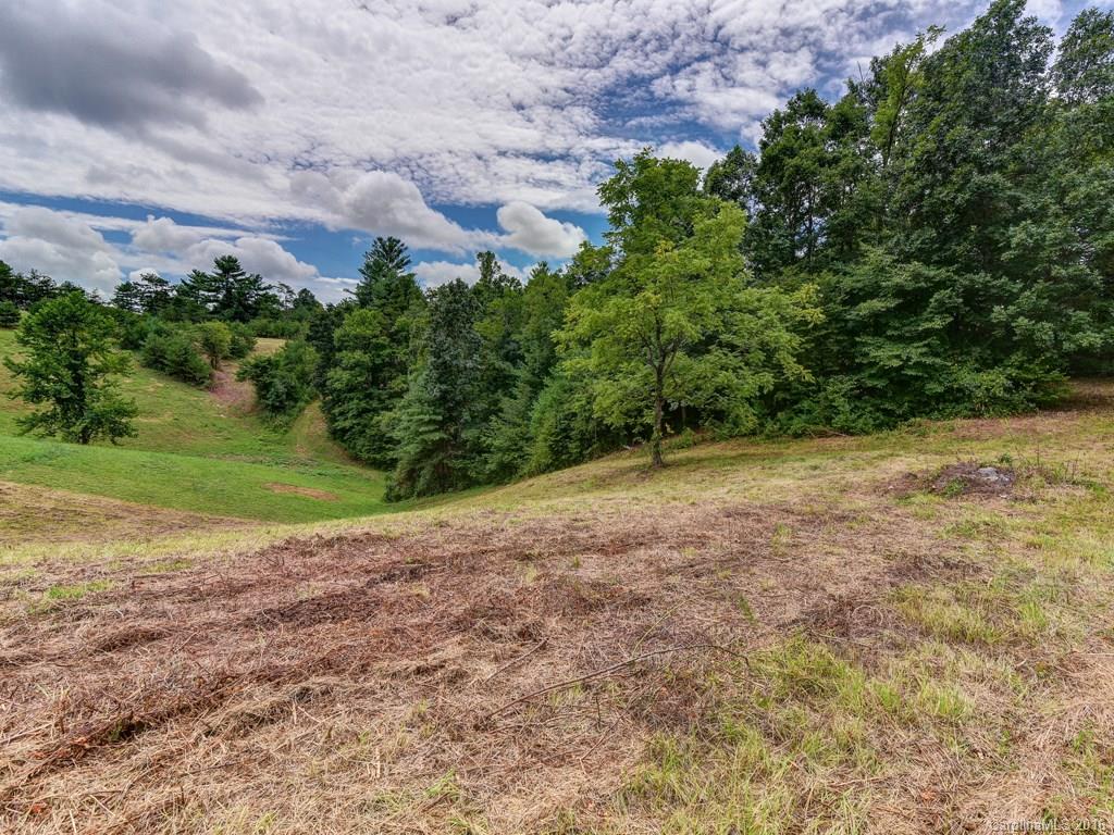 72 Al Faye Farm Way Weaverville NC 28787