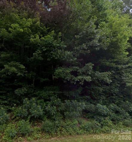 0 Laytown Road Lenoir NC 28645