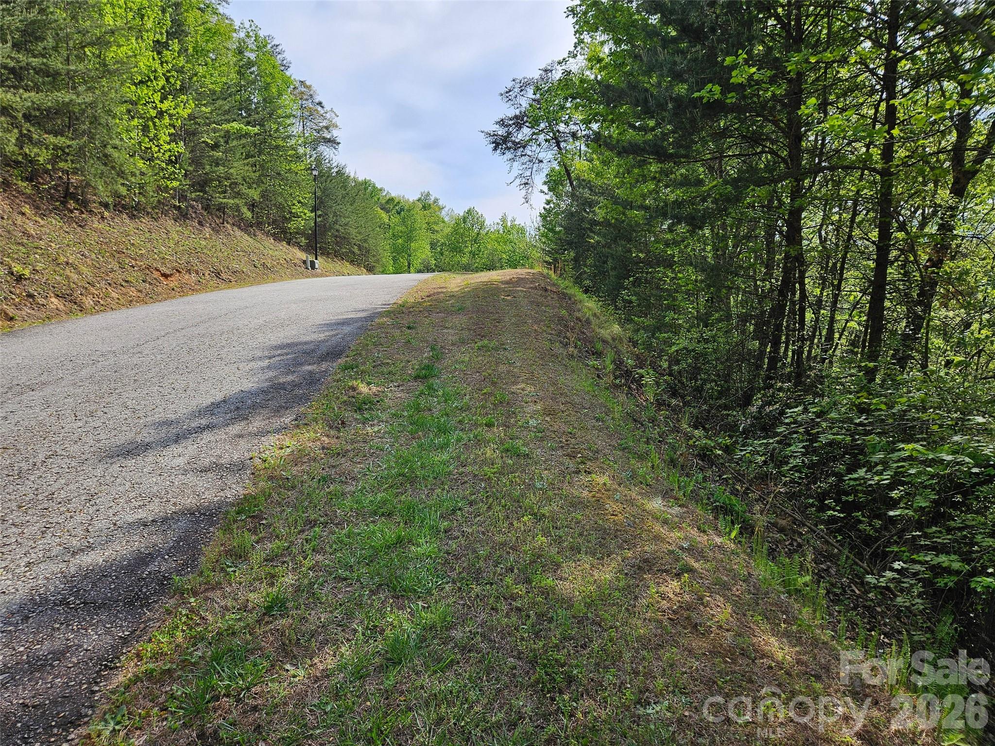 0 High Pines Loop Lake Lure NC 28746