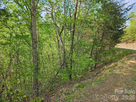 0 High Pines Loop Lake Lure NC 28746