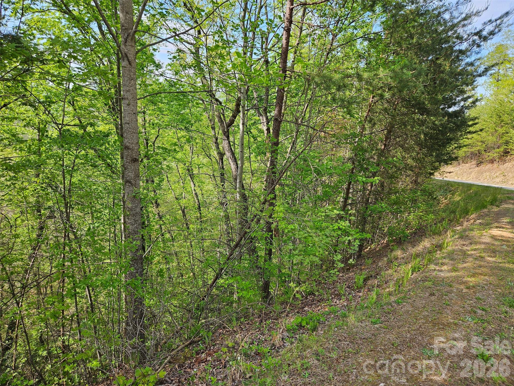 0 High Pines Loop Lake Lure NC 28746
