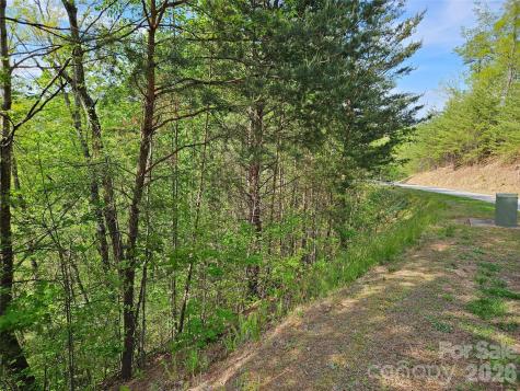 0 High Pines Loop Lake Lure NC 28746