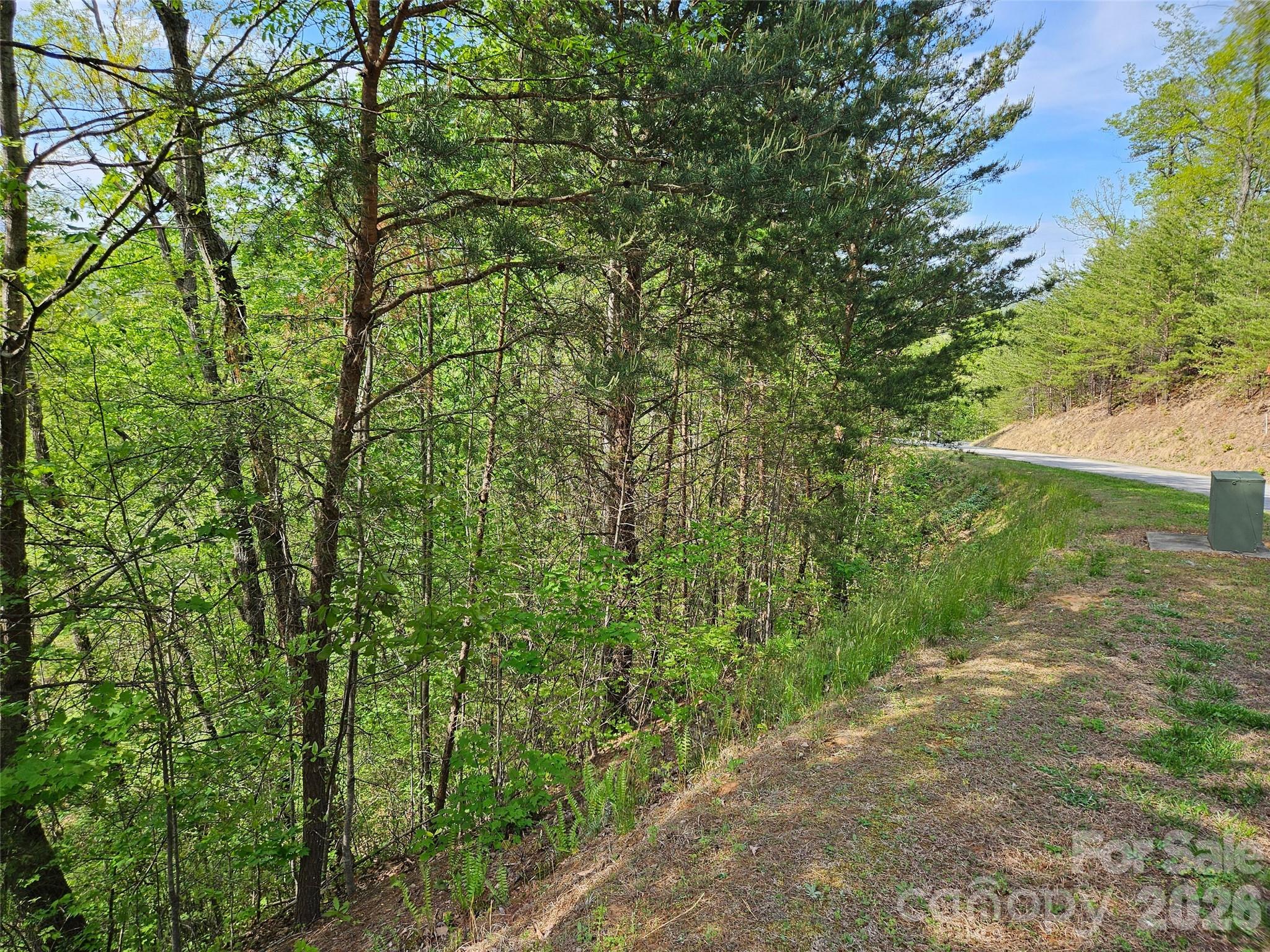 0 High Pines Loop Lake Lure NC 28746