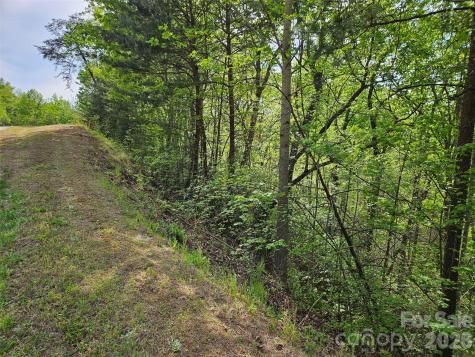 0 High Pines Loop Lake Lure NC 28746