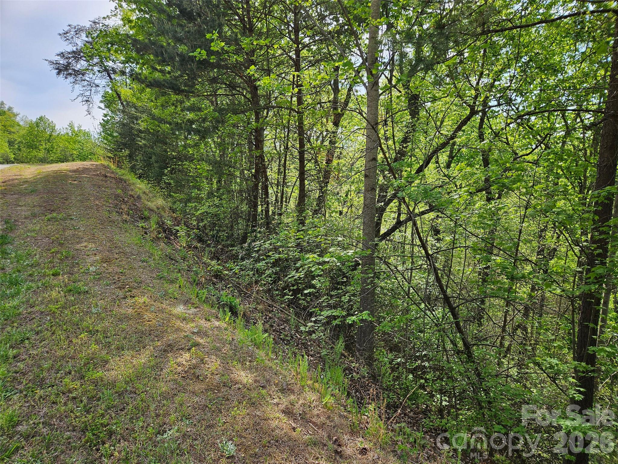 0 High Pines Loop Lake Lure NC 28746