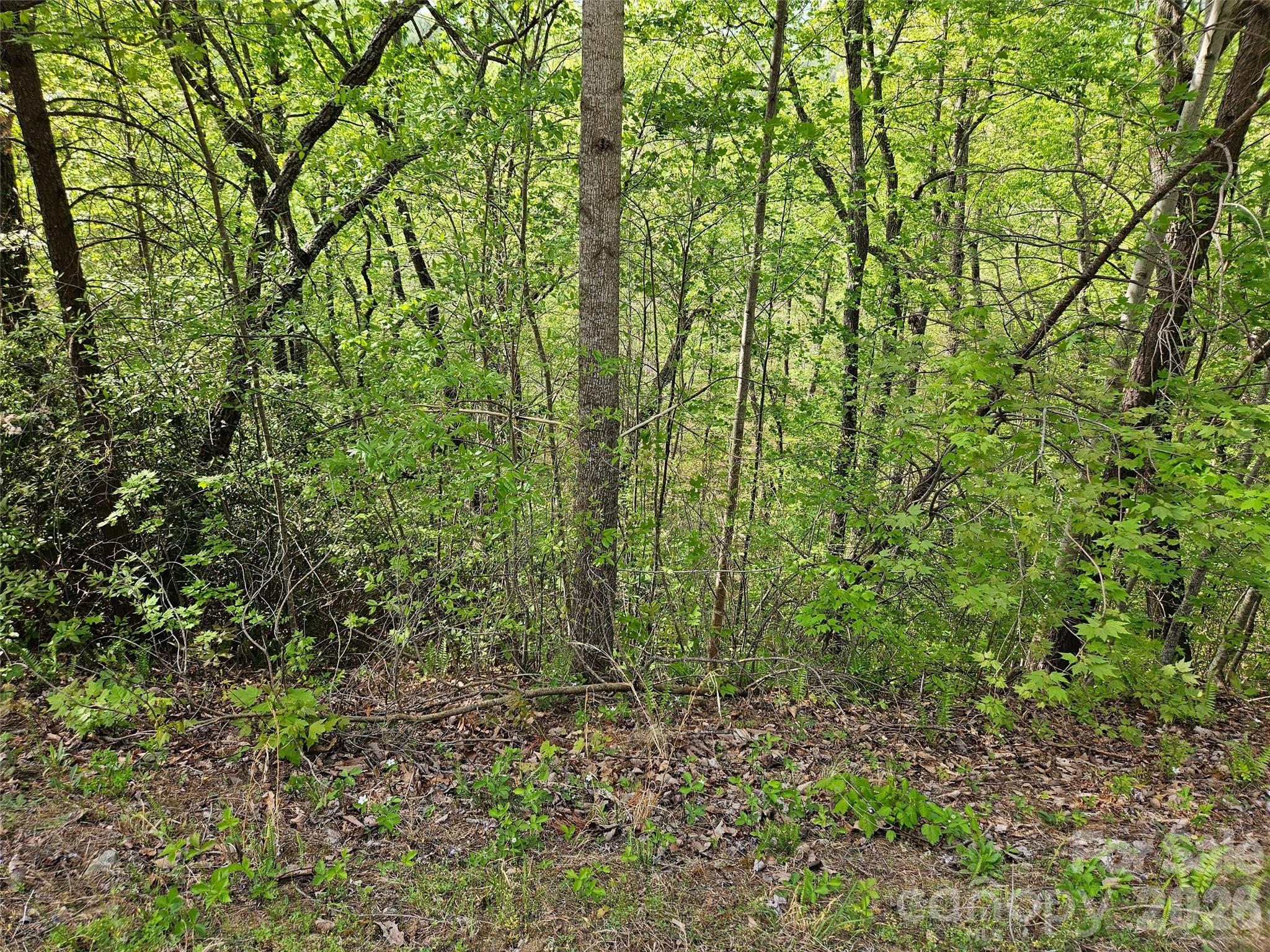0 High Pines Loop Lake Lure NC 28746