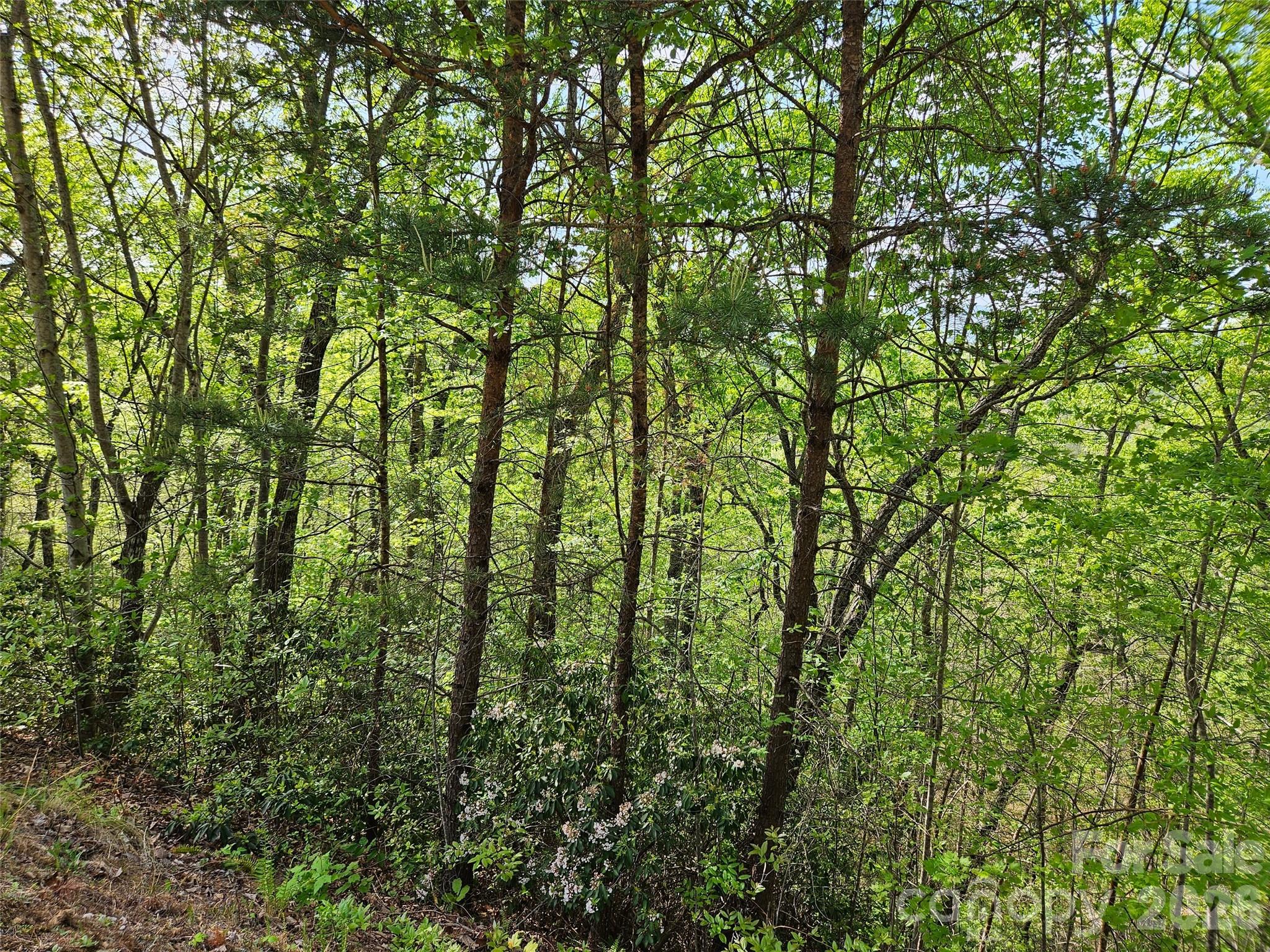 0 High Pines Loop Lake Lure NC 28746