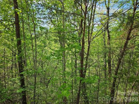 0 High Pines Loop Lake Lure NC 28746