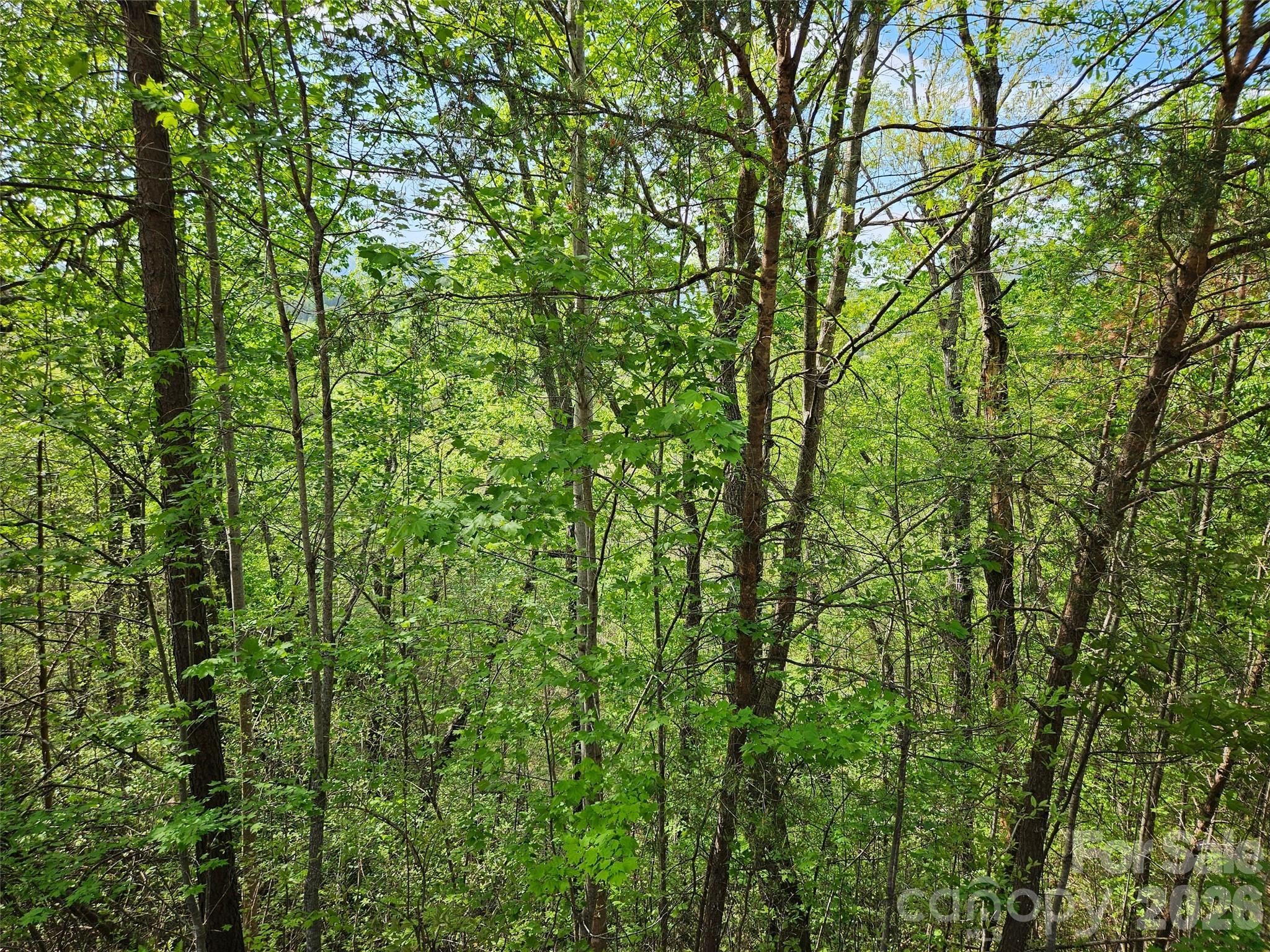 0 High Pines Loop Lake Lure NC 28746