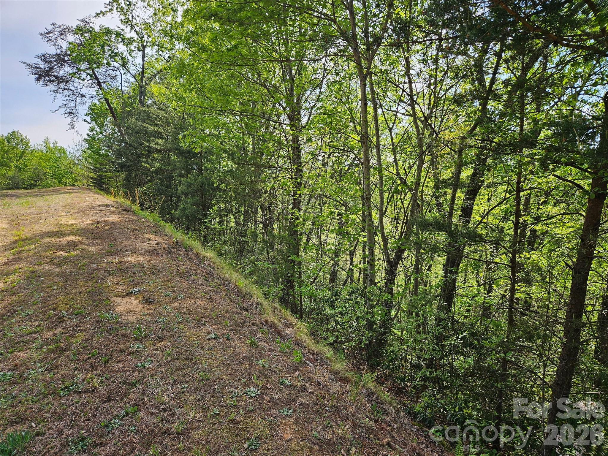 0 High Pines Loop Lake Lure NC 28746