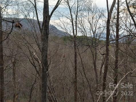 Lots 94 & 95 Rock Spring Road Lake Lure NC 28746