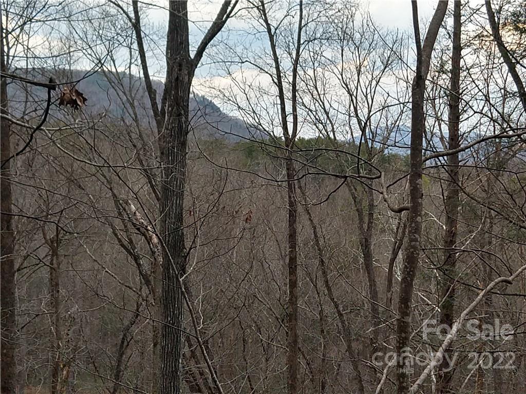 Lots 94 & 95 Rock Spring Road Lake Lure NC 28746