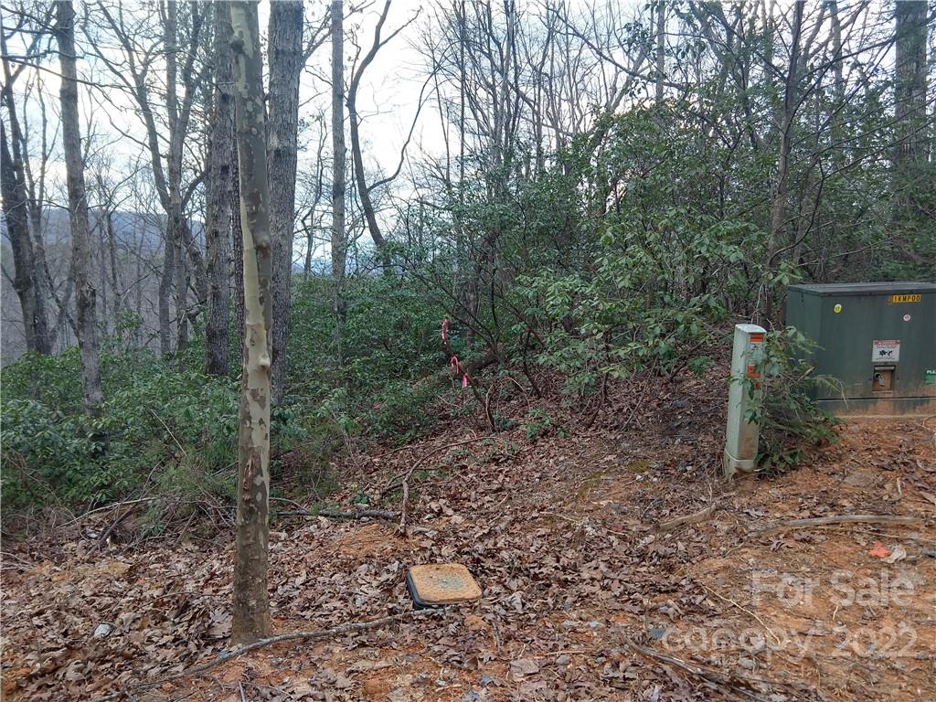 Lots 94 & 95 Rock Spring Road Lake Lure NC 28746