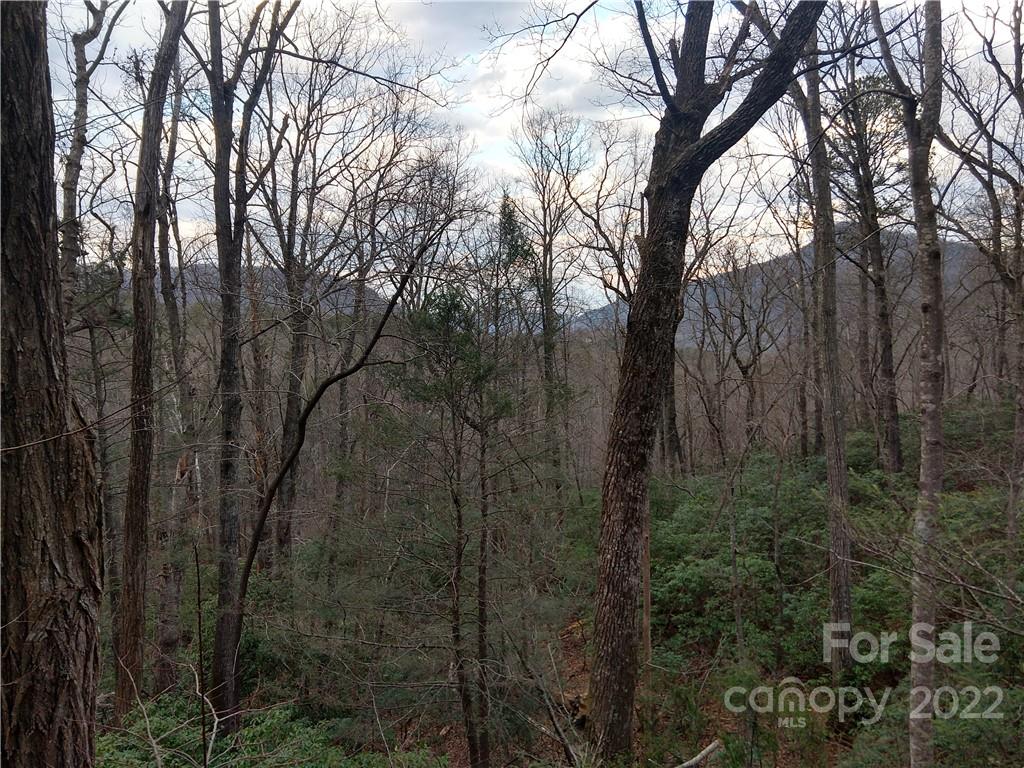 Lots 94 & 95 Rock Spring Road Lake Lure NC 28746