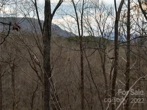 Lots 94 & 95 Rock Spring Road Lake Lure NC 28746