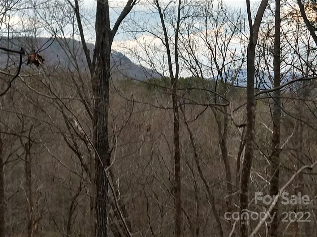 Lots 94 & 95 Rock Spring Road Lake Lure NC 28746