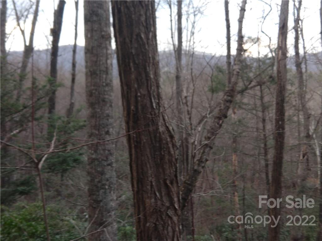 Lots 94 & 95 Rock Spring Road Lake Lure NC 28746