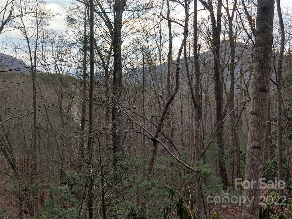 Lots 94 & 95 Rock Spring Road Lake Lure NC 28746