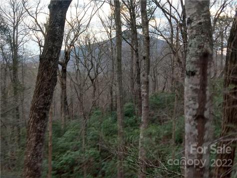 Lots 94 & 95 Rock Spring Road Lake Lure NC 28746