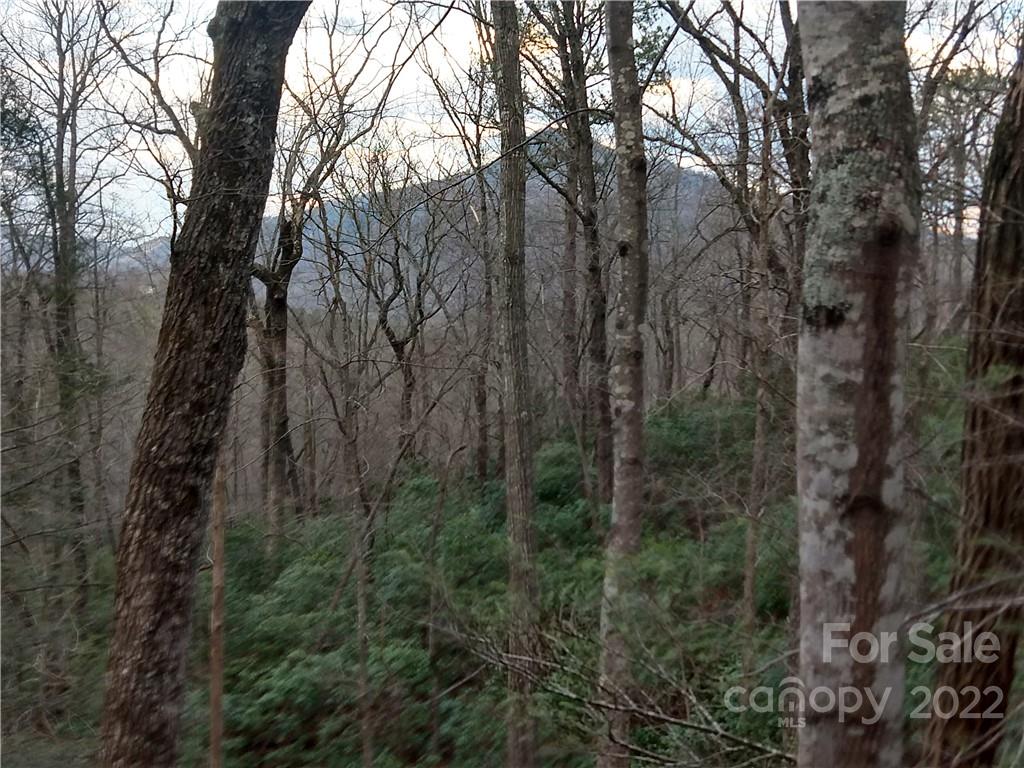 Lots 94 & 95 Rock Spring Road Lake Lure NC 28746