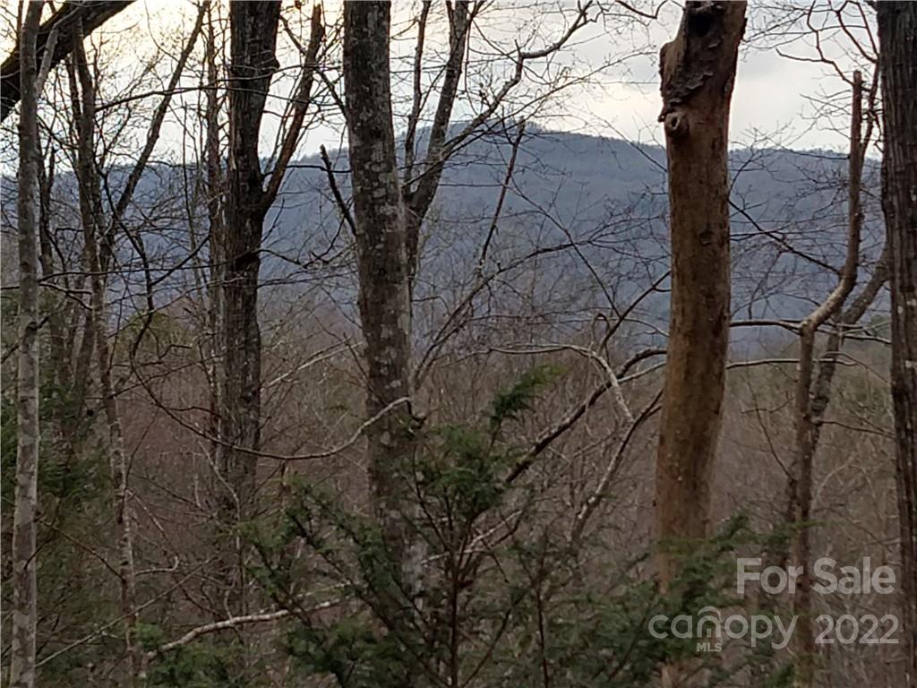 Lots 94 & 95 Rock Spring Road Lake Lure NC 28746