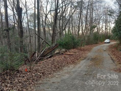 Lots 94 & 95 Rock Spring Road Lake Lure NC 28746