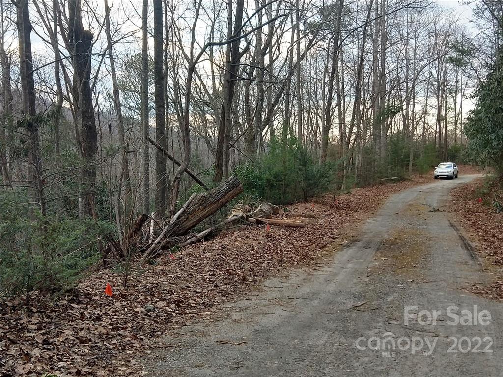 Lots 94 & 95 Rock Spring Road Lake Lure NC 28746
