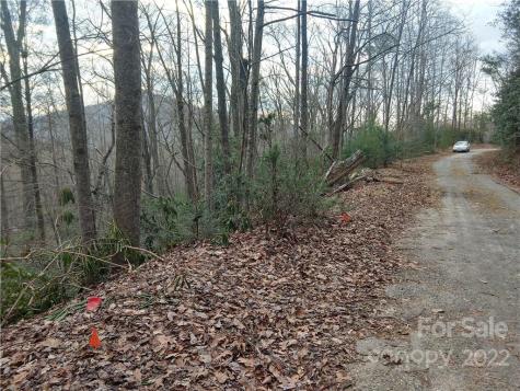 Lots 94 & 95 Rock Spring Road Lake Lure NC 28746