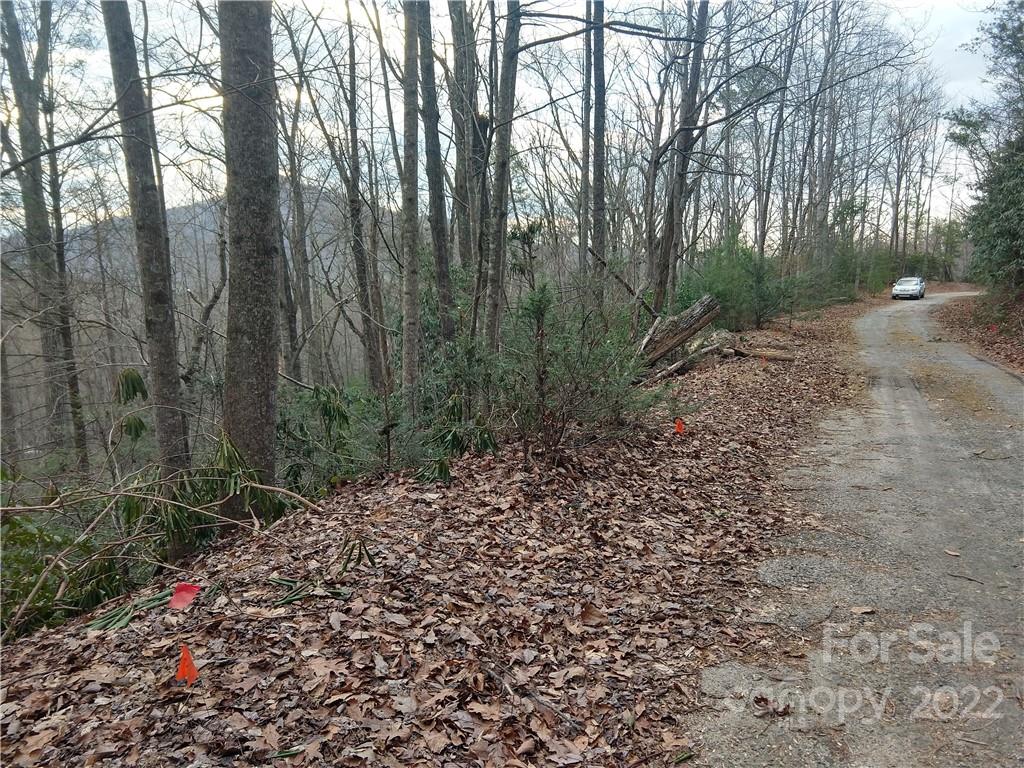 Lots 94 & 95 Rock Spring Road Lake Lure NC 28746