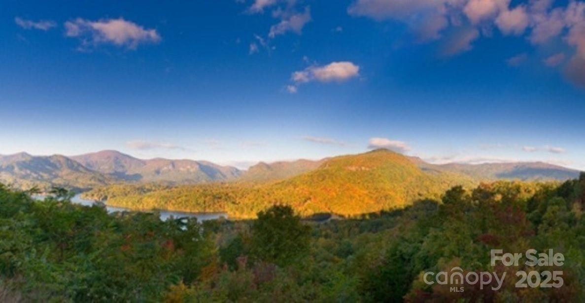 31 High Rock Ridge Lake Lure NC 28746