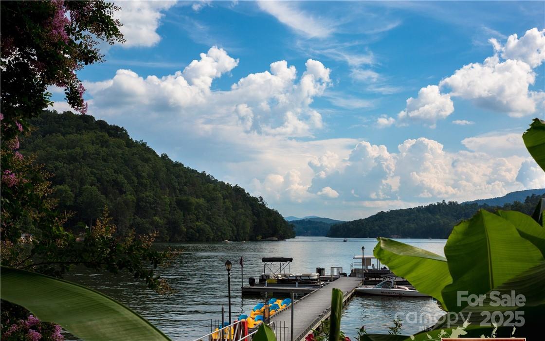 31 High Rock Ridge Lake Lure NC 28746