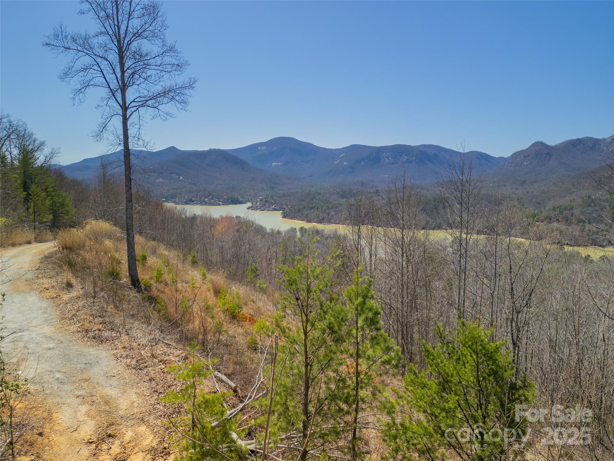 31 High Rock Ridge Lake Lure NC 28746