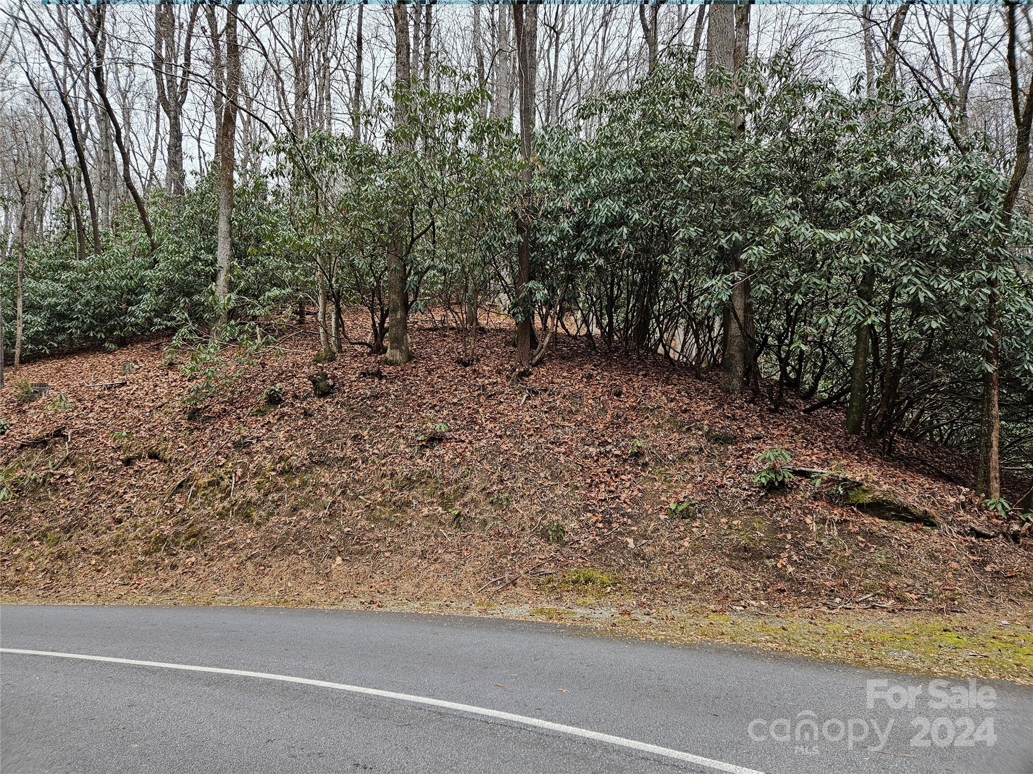 000 Lot 13 Sec 23 Dvdisdi Court Brevard NC 28712