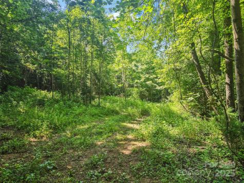 0000 Bills Creek Road Lake Lure NC 28746