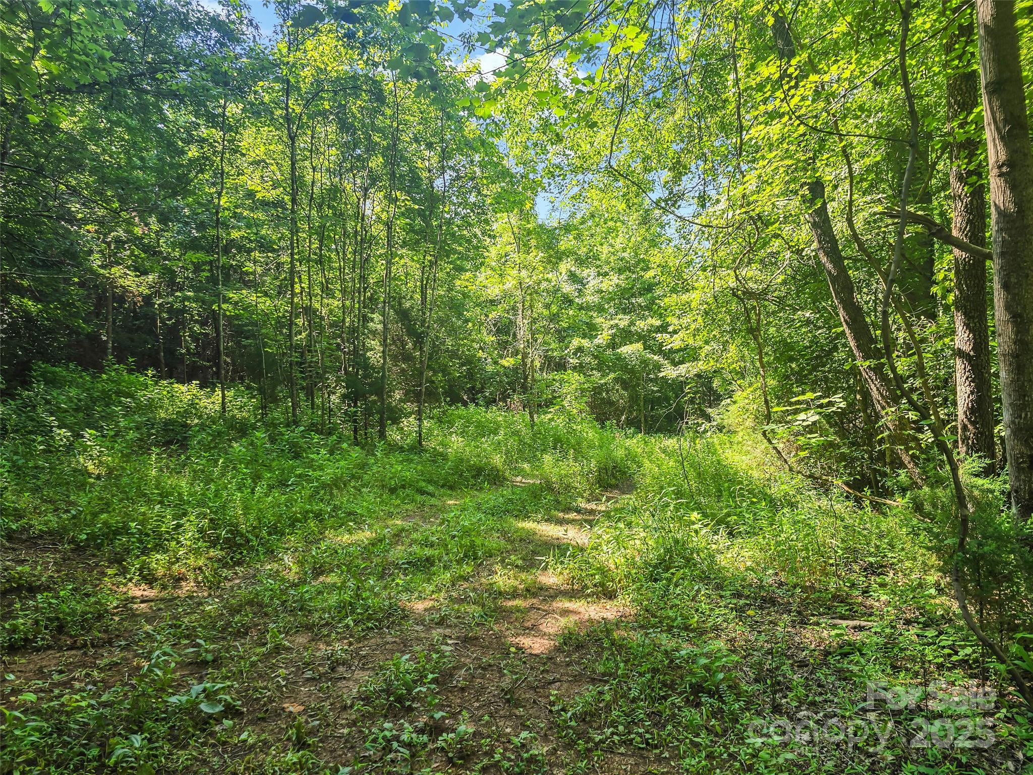 0000 Bills Creek Road Lake Lure NC 28746