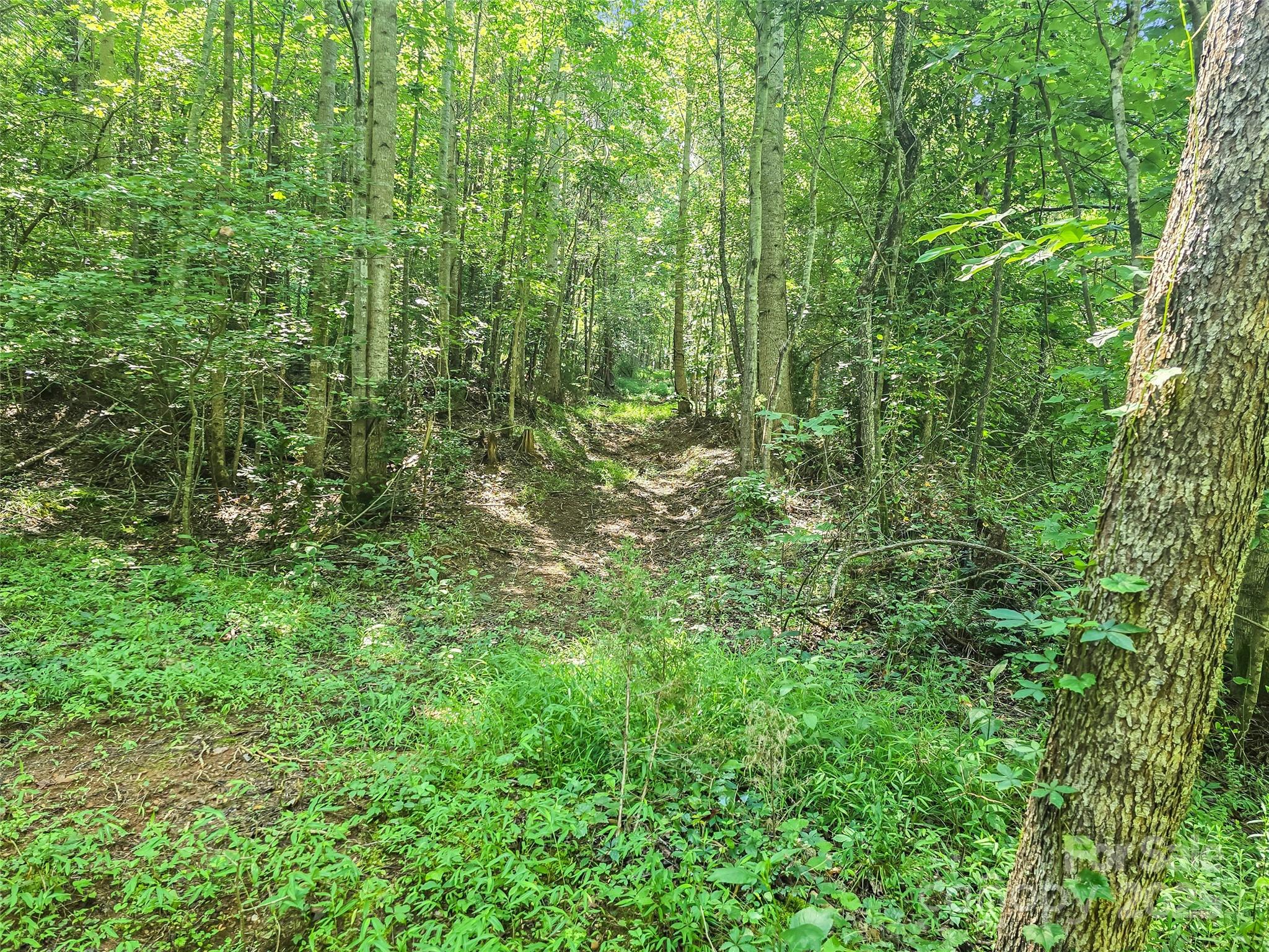 0000 Bills Creek Road Lake Lure NC 28746