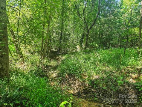 0000 Bills Creek Road Lake Lure NC 28746