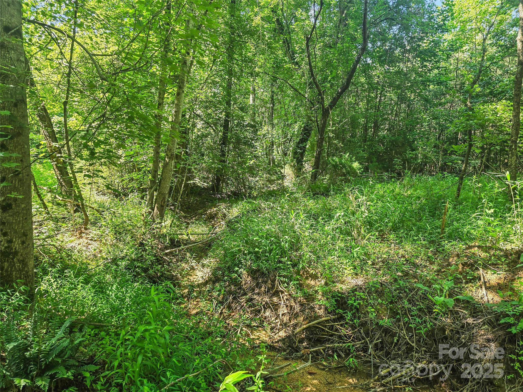 0000 Bills Creek Road Lake Lure NC 28746