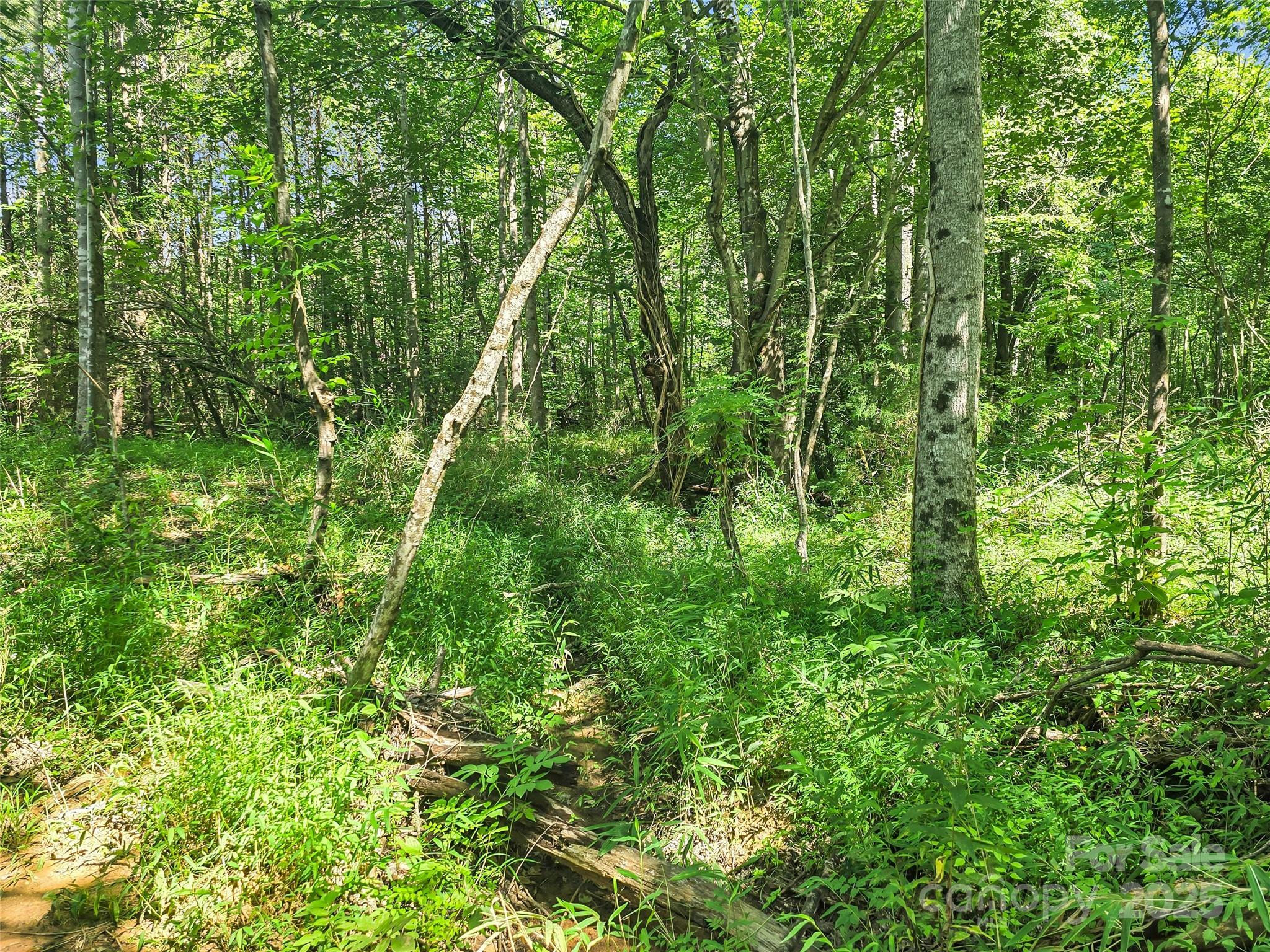0000 Bills Creek Road Lake Lure NC 28746